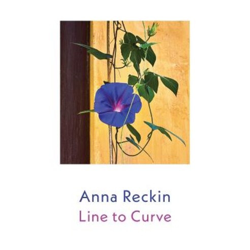 Line to Curve Paperback, Shearsman Books