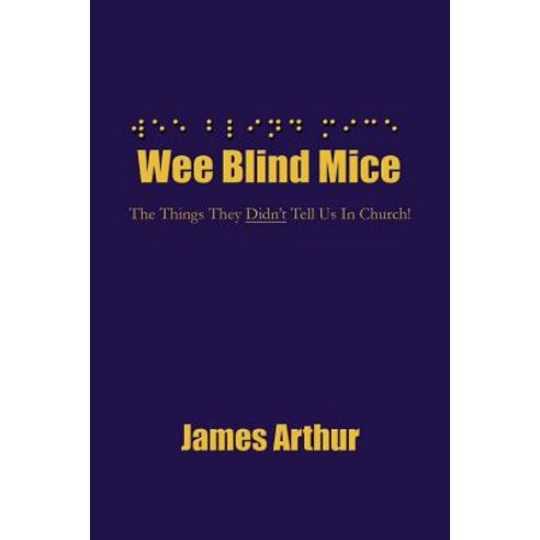 Wee Blind Mice: The Things They Didn''t Tell Us in Church! Paperback, Authorhouse