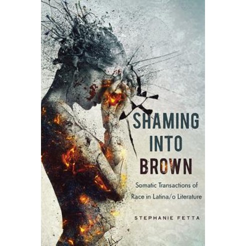 Shaming Into Brown: Somatic Transactions of Race in Latina/O Literature Paperback, Ohio State University Press