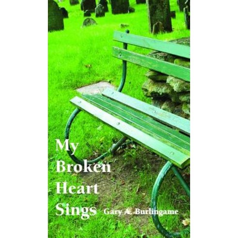 My Broken Heart Sings Paperback, Healthy Life Press