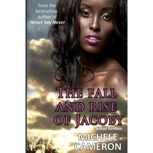 The Fall and Rise of Jacoby Paperback, Michele Cameron