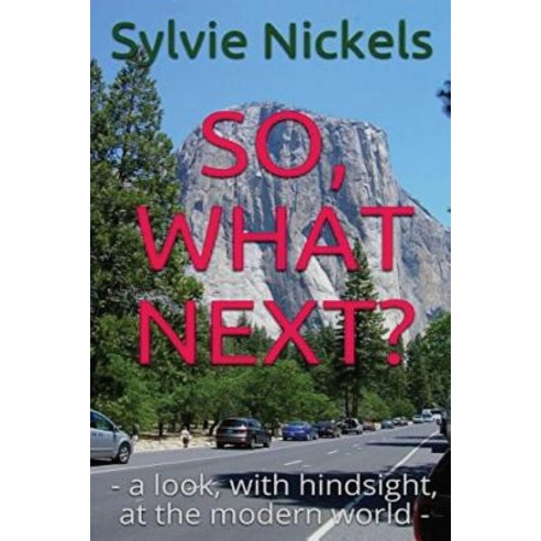 So What Next? Paperback, FeedARead.com