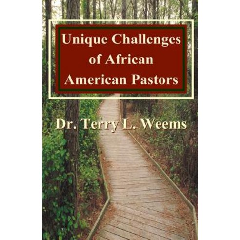 Unique Challenges of African American Pastors Paperback, Tec Publications