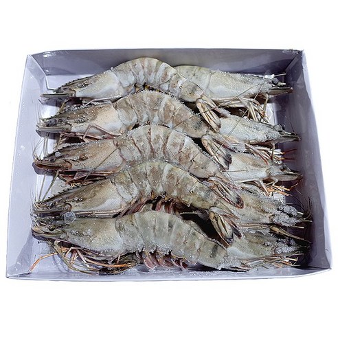맛있는 해산물의 필수품: 신선하고 영양가 높은 힘찬푸드 블랙타이거새우 대하