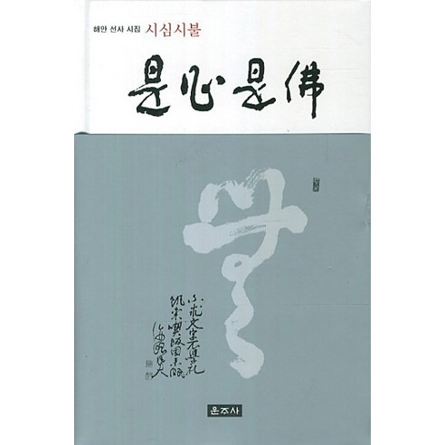 시심시불:해안 선사 시집, 운주사
