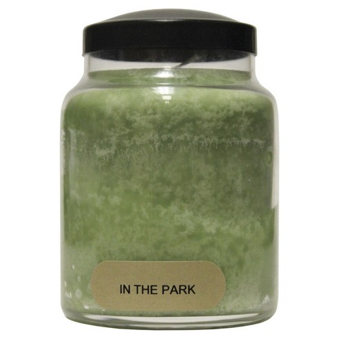 A Cheerful Giver 베이비 자 캔들 6oz, 1개, In The Park
