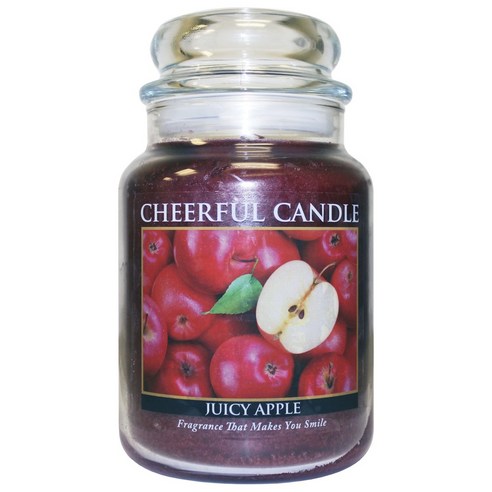 어치어풀기버 치어풀 자캔들, Juicy Apple, 680.4g