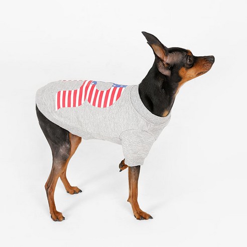 리얼펫 강아지 성조기 라운드 티셔츠, MELANGE GREY