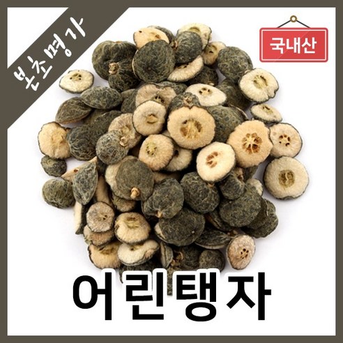 본초명가 어린탱자 지실 애지실 탱자, 1개, 300g