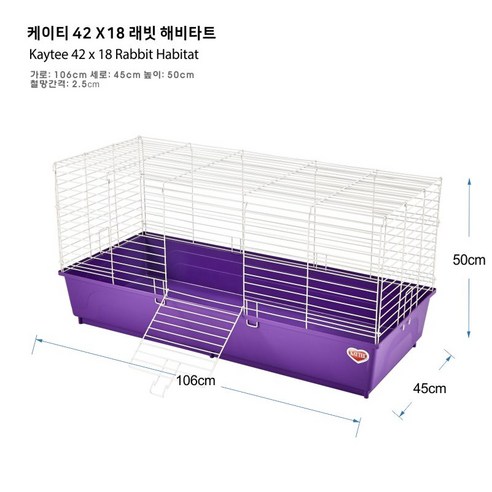 케이티, 22, 1개