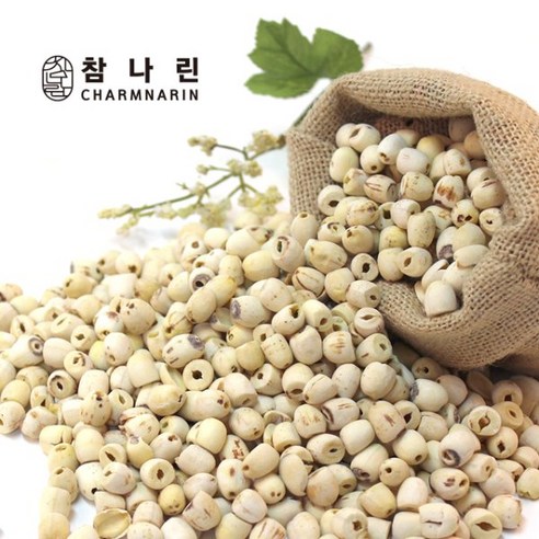 참나린 껍질깐 연자육 거피 연꽃씨, 600g, 1개 국산연자육 Best Top5 참나린 껍질깐 연자육 거피 연꽃씨, 600g, 1개 국산연자육 Best Top5
