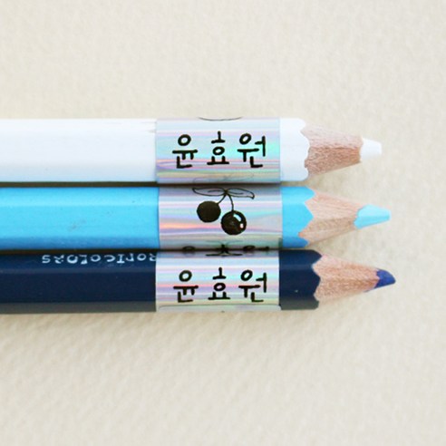 카카오네임 연필용 홀로그램 네임스티커, B.다양그림(여아), 1set