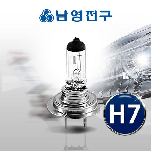 남영 이글아이 할로겐 전조등 H7 12V 55W 자동차전구, 1개