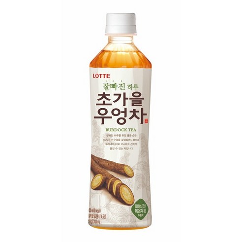 롯데칠성음료 잘빠진 하루 초가을 우엉차, 500ml, 24개
