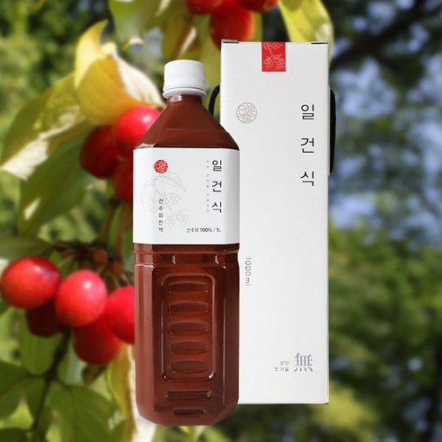 일건식 산수유 진액, 2개, 1L, 2개