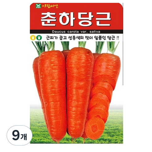 춘하당근 씨앗 당근 씨 종자, 9개
