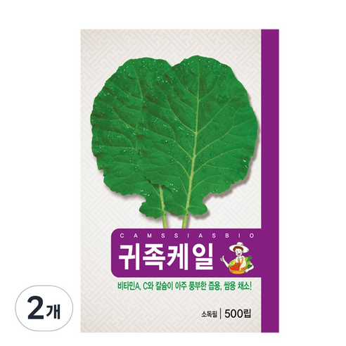 귀족 케일 씨앗, 2개