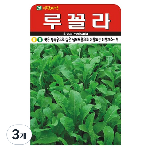 루꼴라 씨앗 2000립, 3개