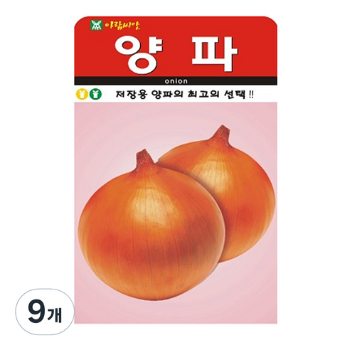 양파 씨앗 씨 종자, 9개