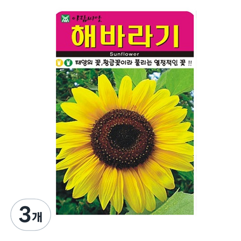 해바라기 씨앗 50립, 3개