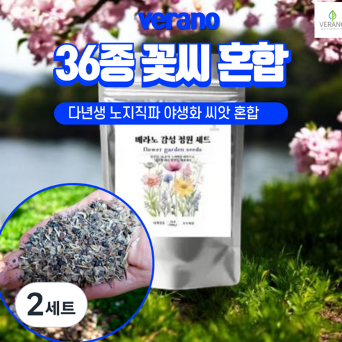 [노지직파 꽃씨앗 대용량] 베라노 감성정원 36종 꽃씨혼합 1만5천립 1평-3평 파종 노지 월동 다년생 사계절 야생화 종자, 2세트