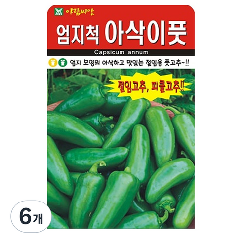 엄지척 아삭이 풋고추 씨앗 고추씨 종자, 6개