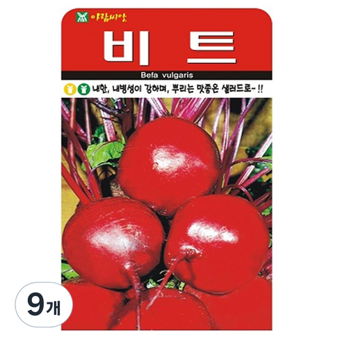 비트 씨앗 씨 종자, 9개
