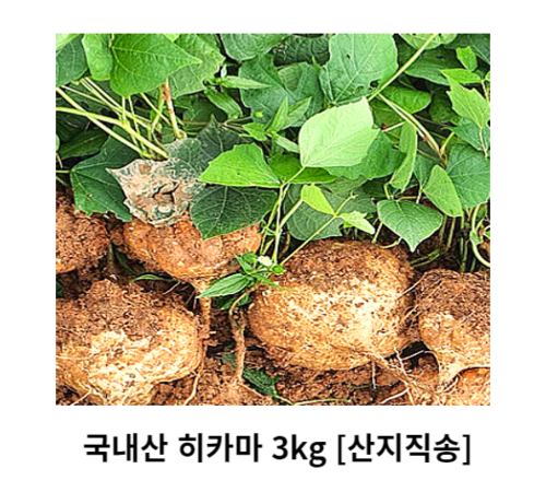 저염식으로 준비한 미역줄기 볶음