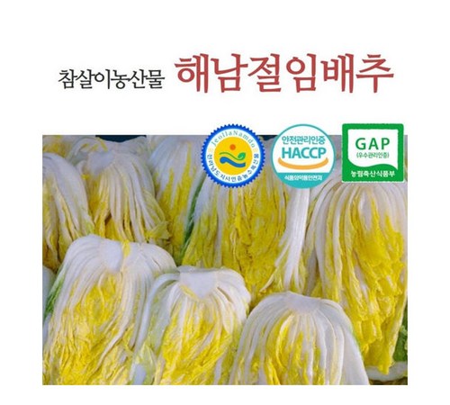 깔끔하게 절여진 참살이 절임배추
