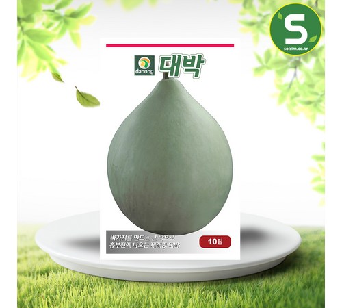 감의 단면