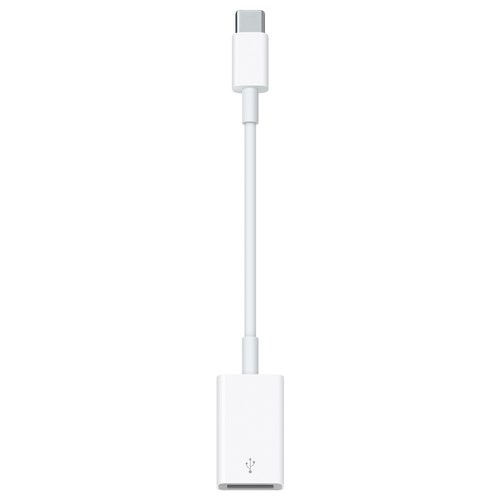 Apple 정품 USB-C-USB 어댑터 - 애플 젠더 추천