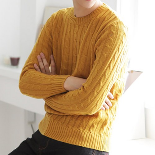 남자꽈배기니트