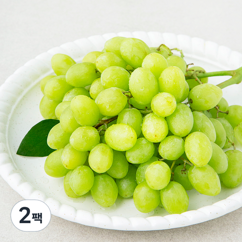 PSK 미국산 청포도 스텔라벨라, 490g, 2팩