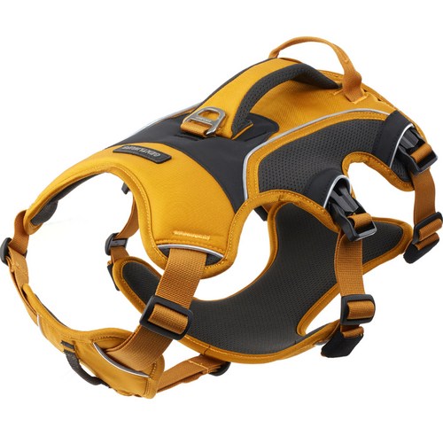 젠틀우프 트레일러너 대형견 하네스, 허니옐로, 1개