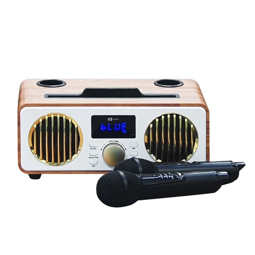 무선 블루투스 노래방 마이크 듀얼 스피커 20w 고출력 NBF9000, 단품