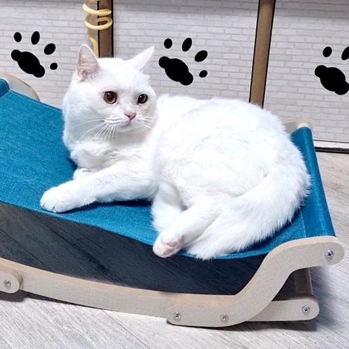 초경량캠핑해먹스카이블루