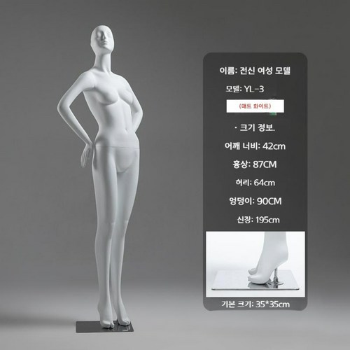 필라테스마네킹