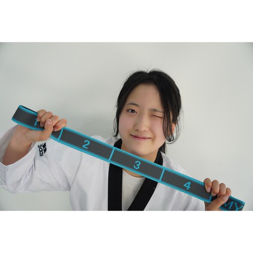 태권도