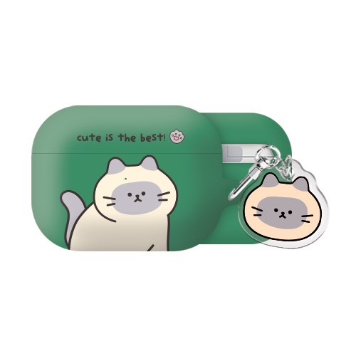 야옹이 힐링 에어팟 에어팟프로 시리즈 하드 케이스 키링 세트, 야옹이 힐링-샴, AirPods Pro