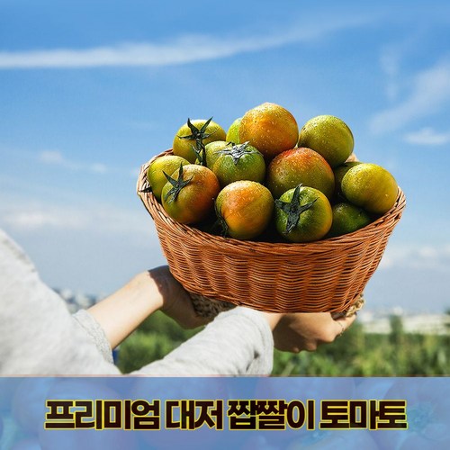 짭짤이토마토