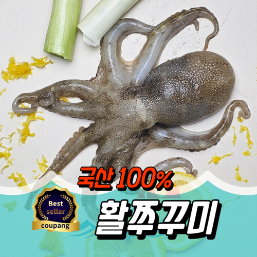 동해바람 자연산 활 쭈꾸미 특품 1kg, 1개, 국산 조업 활 쭈꾸미 1kg