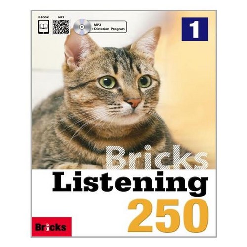 Bricks Listening 250 (1)