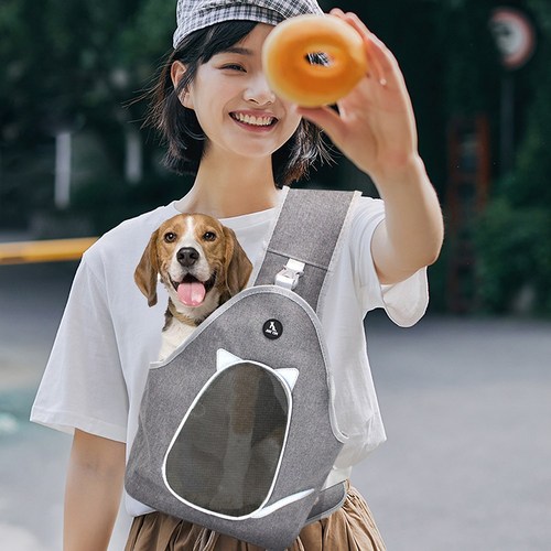 강아지이동캐리어
