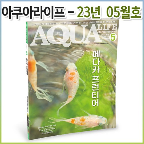 아쿠아라이프