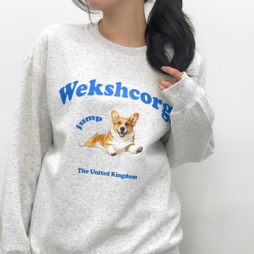 바이하은 웰시코기 맨투맨 티