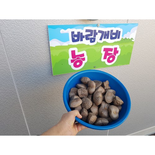 하늘마