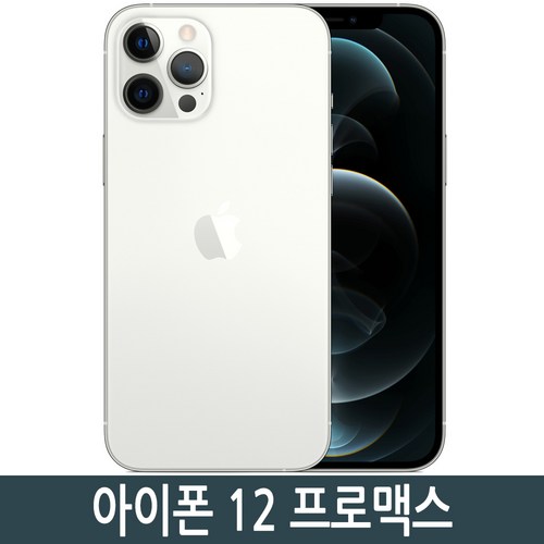 아이폰12 프로맥스 iPhone12 promax 128GB 256GB 512GB 기가 정품, 실버