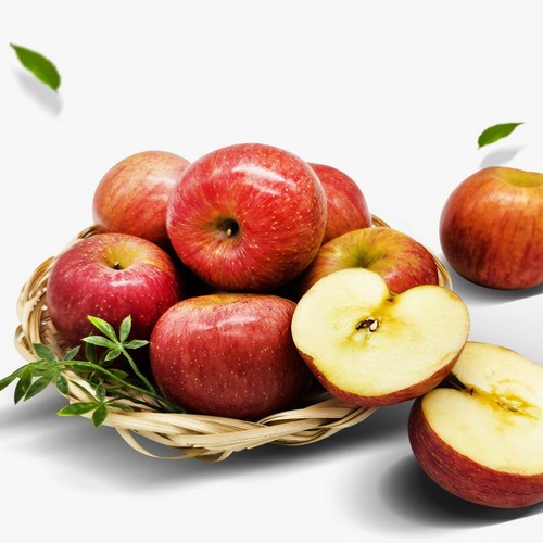 사과 부사 가정용 사과 아삭아삭 맛있는 못난이 꿀 사과 강원 사과 5kg 10kg, 1개