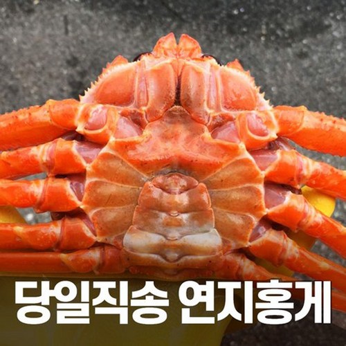 게손질