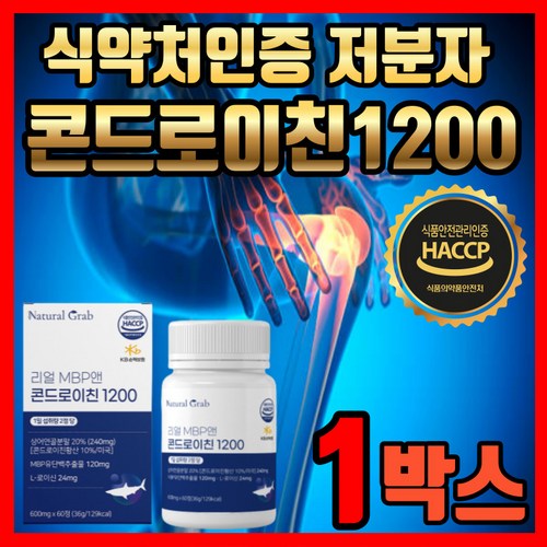 콘드로이친1200